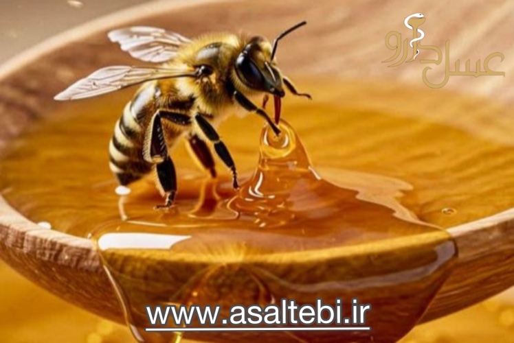 عسل برای درمان ریفلاکس معده