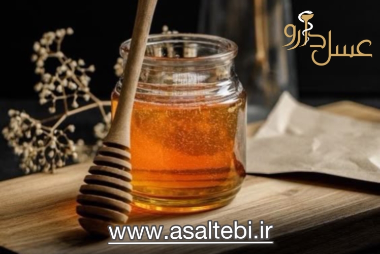 زندگی زنبور ها